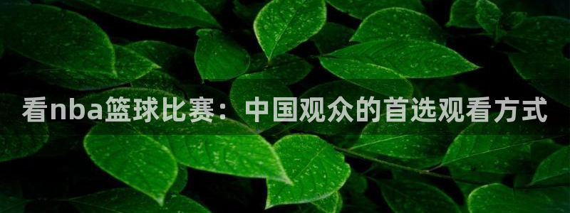 绿茵直播nba：看nba篮球比赛：中国观