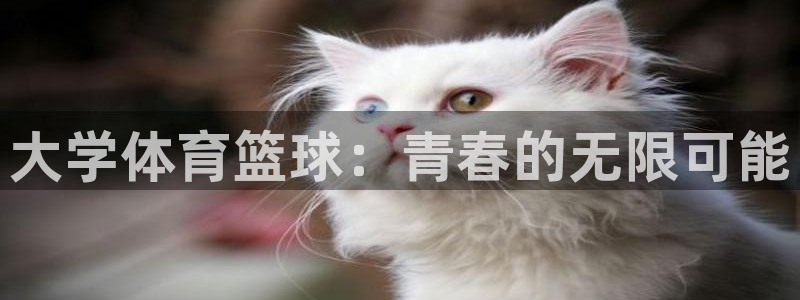 绿茵直播：大学体育篮球：青春的无限可能