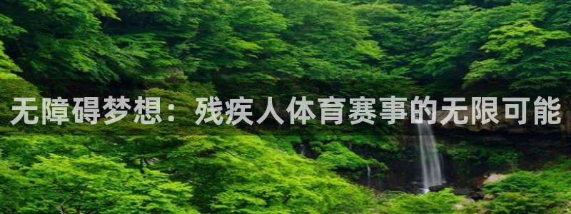 绿茵直播平台官网：无障碍梦想：残疾人体育
