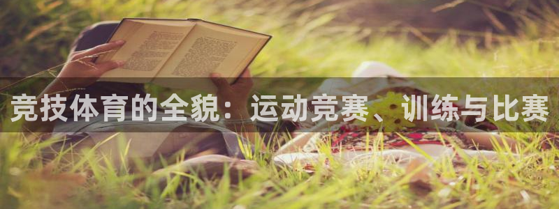 南宁市绿茵体育设施有限公司：竞技体育的全