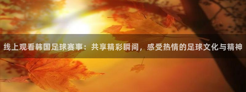 河南绿茵足球俱乐部